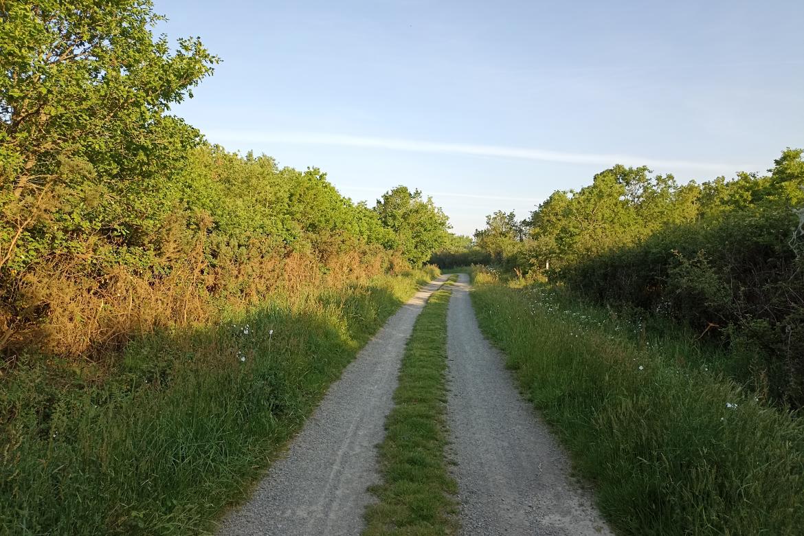 Chemins de randonnées