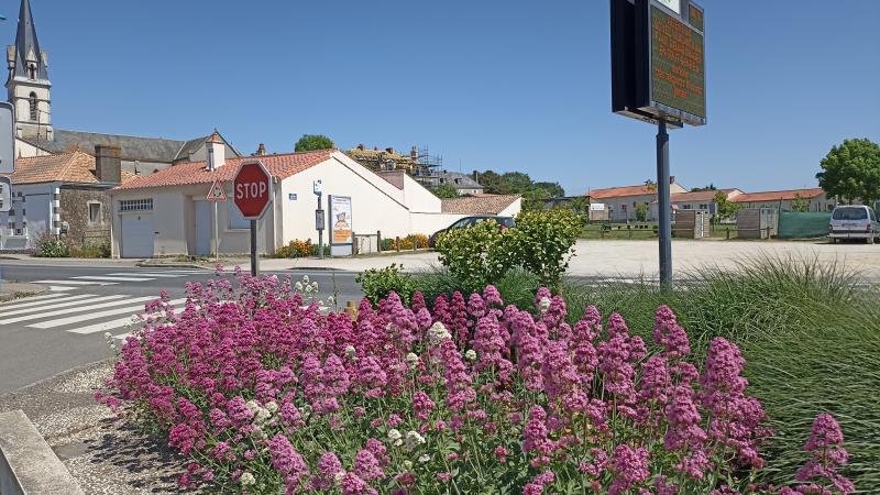 Photo d'un massif