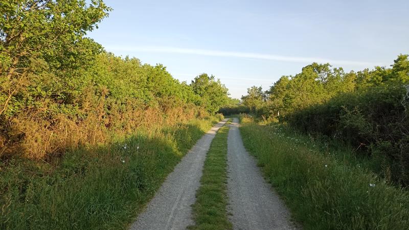 Chemin Cabiran - Vieux logis