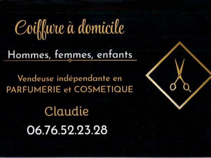 carte coiffeuse