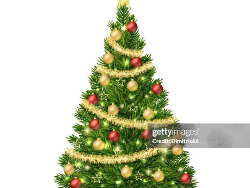 Vente de sapins de Noël