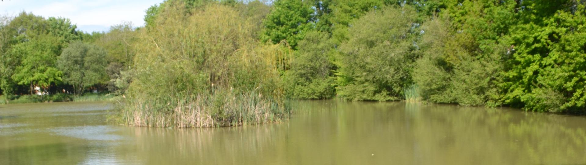 Etang