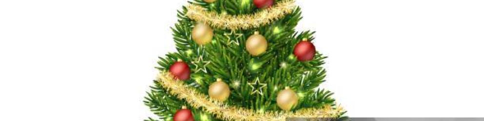 Vente de sapins de Noël